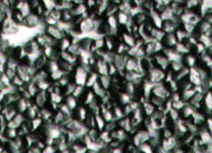 遼寧渤澳鋼鐵有限公司